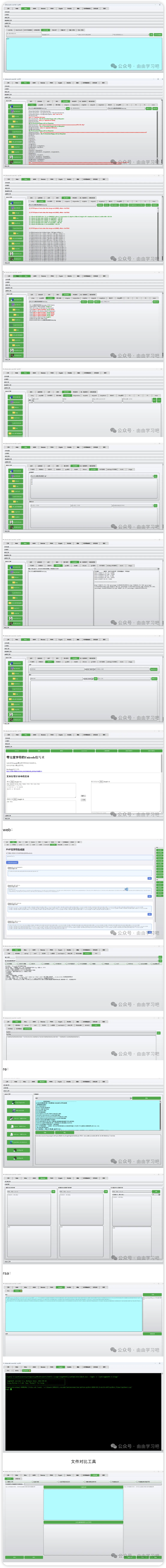 ctftools-all-in-oneV6 来源：由由学习吧-棉花糖会员站