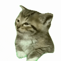 thrive的头像-棉花糖会员站