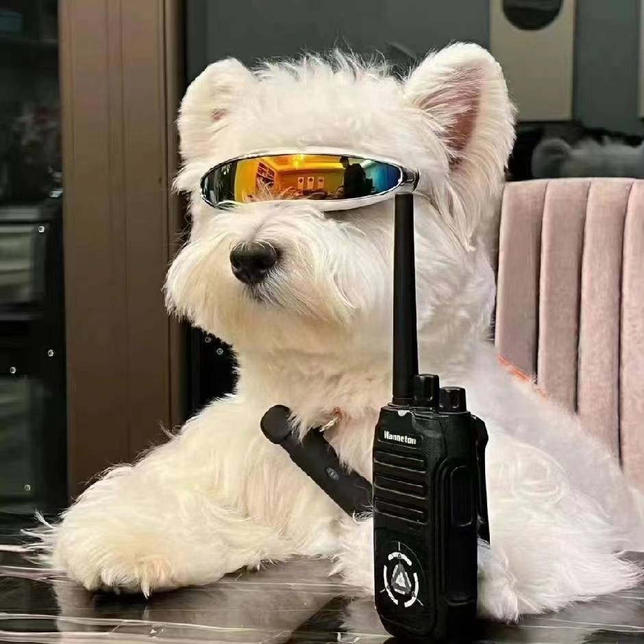 李仁间想念月圆的头像-棉花糖会员站