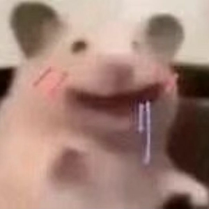 Ax0001的头像-棉花糖会员站