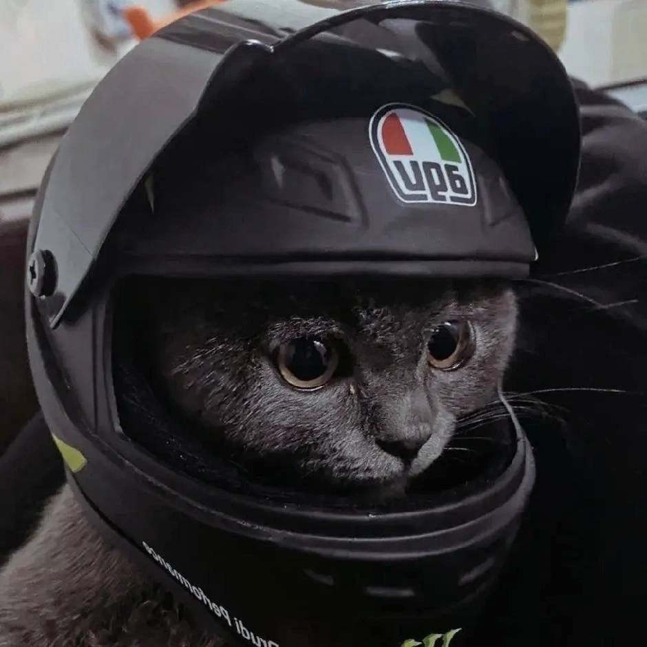 0xsdeo的头像-棉花糖会员站