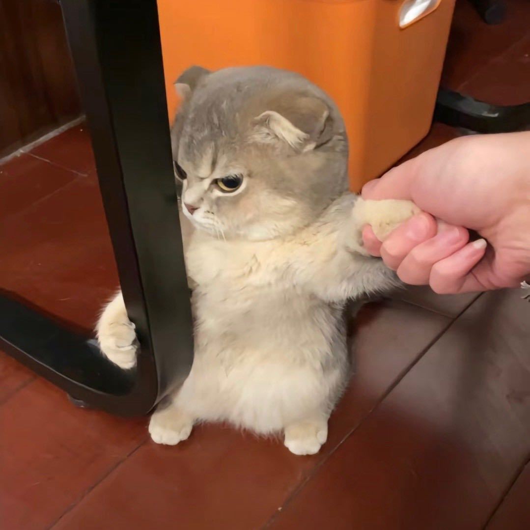 123xad' and sleep(4)-- -的头像-棉花糖会员站