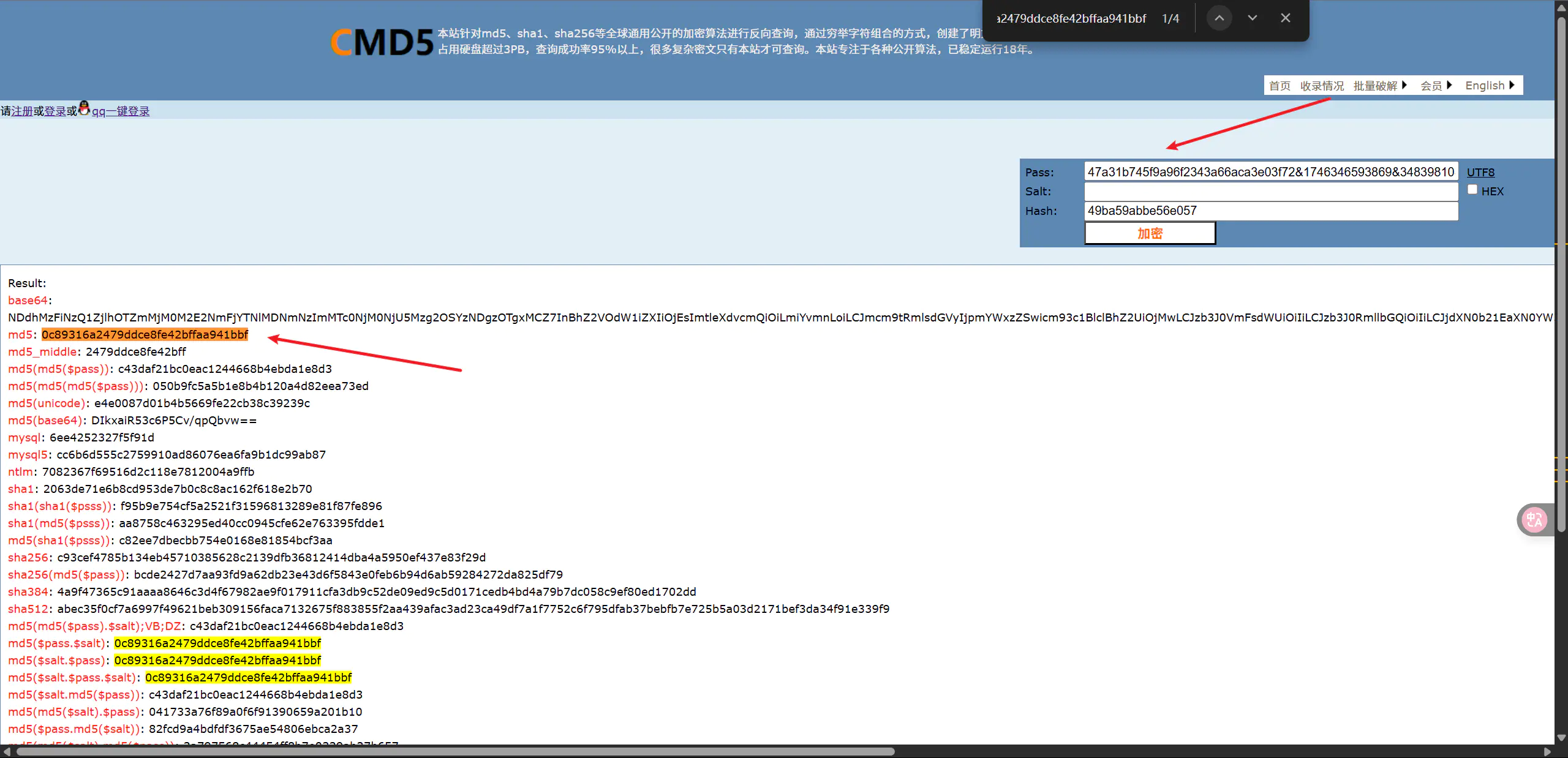 d2b5ca33bd20250504182021