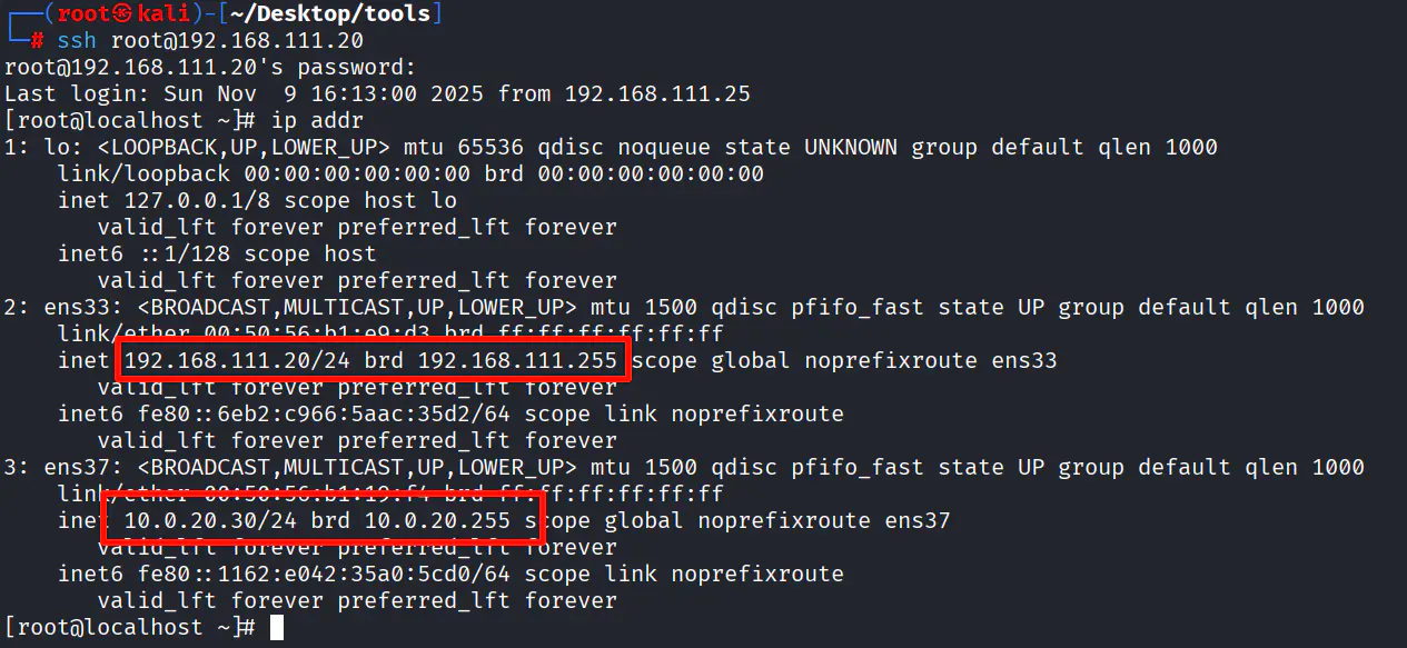 d2b5ca33bd20251109161335