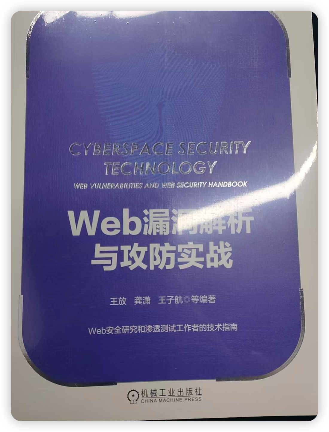 【奖品】yakit赞助-Web漏洞解析与攻防实战-棉花糖会员站